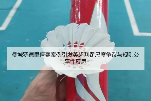 曼城罗德里停赛案例引发英超判罚尺度争议与规则公平性反思